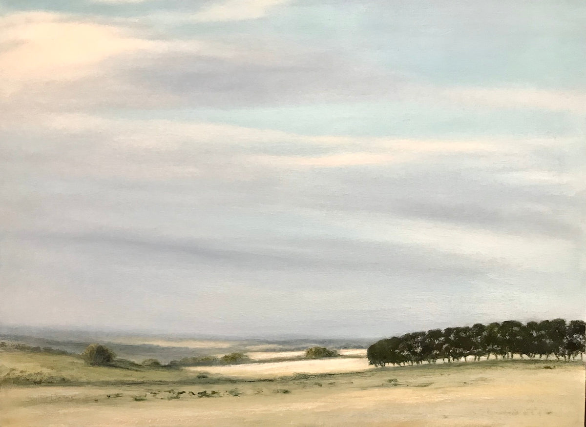 Summer Evening - Parawa