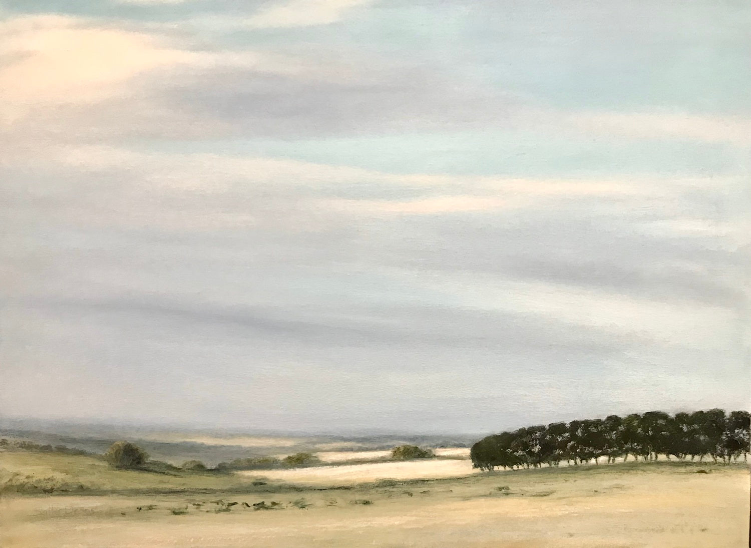 Summer Evening - Parawa