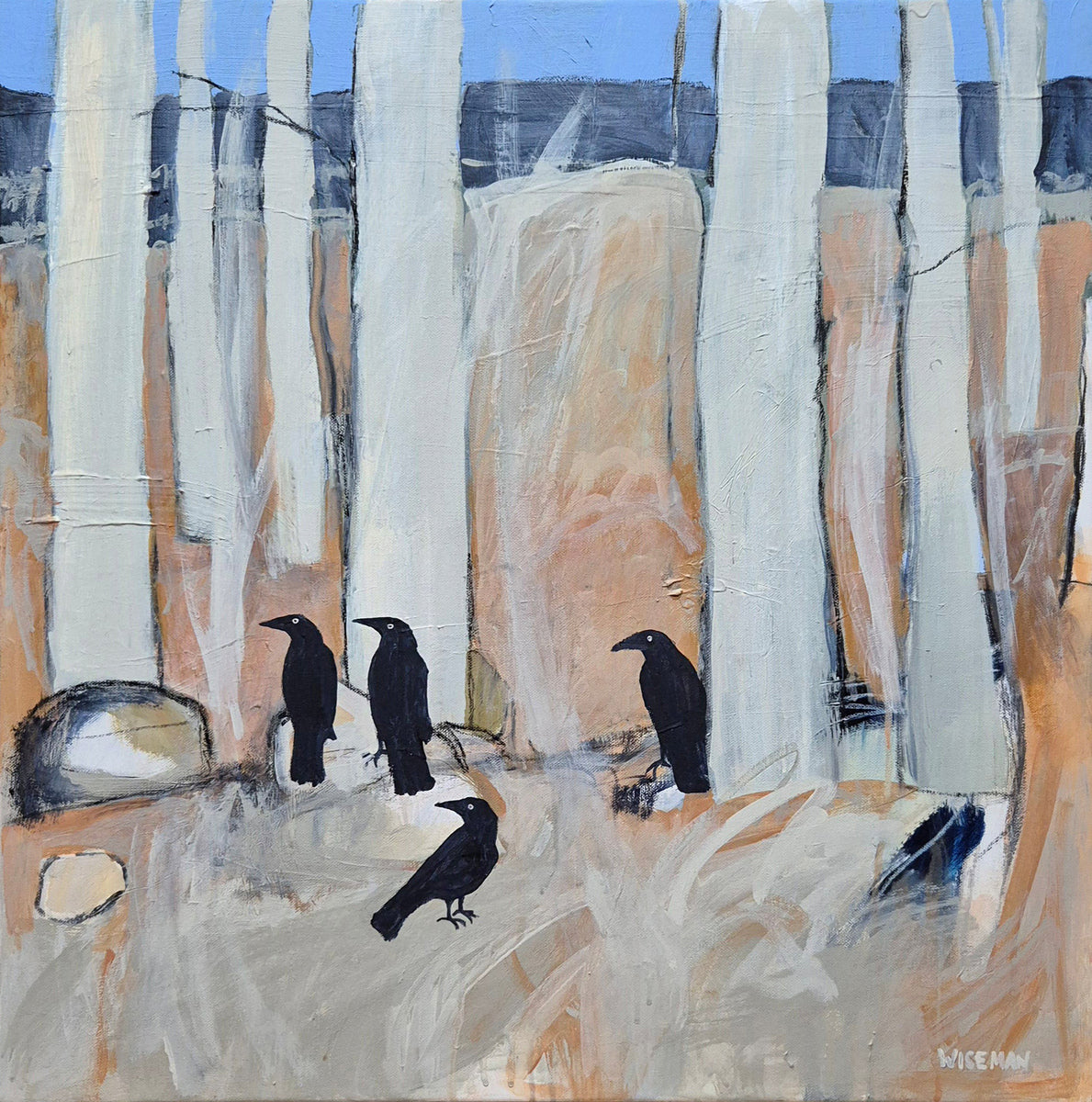 Currawong Country