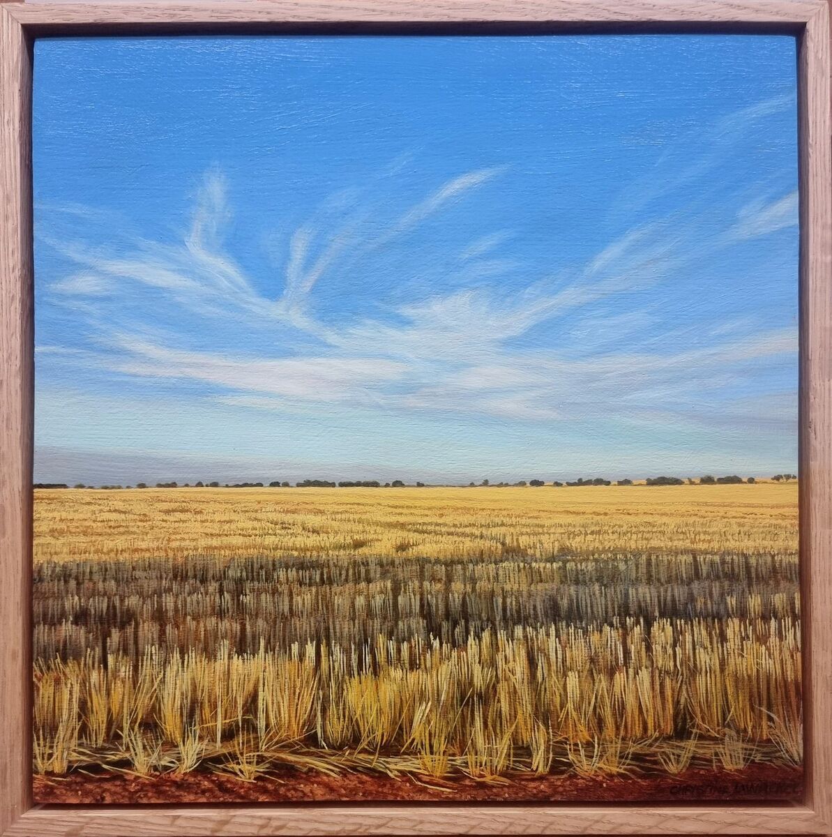 Crops and Clouds #14 Mares Tails Over the Stubble