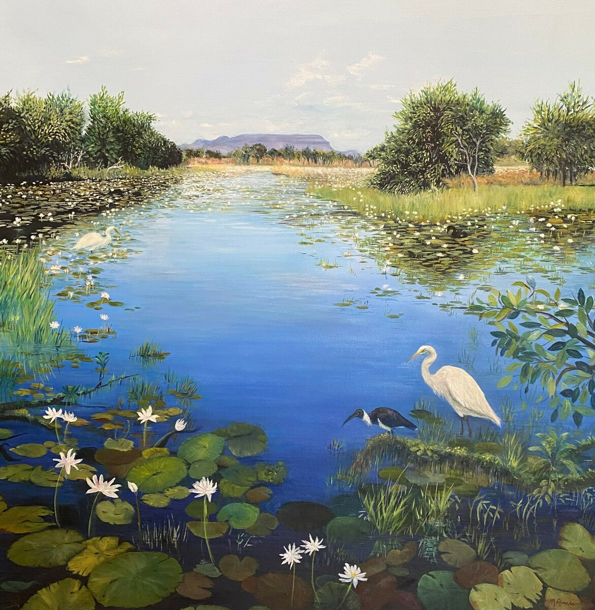 Parry's Lagoon (Marlgu)