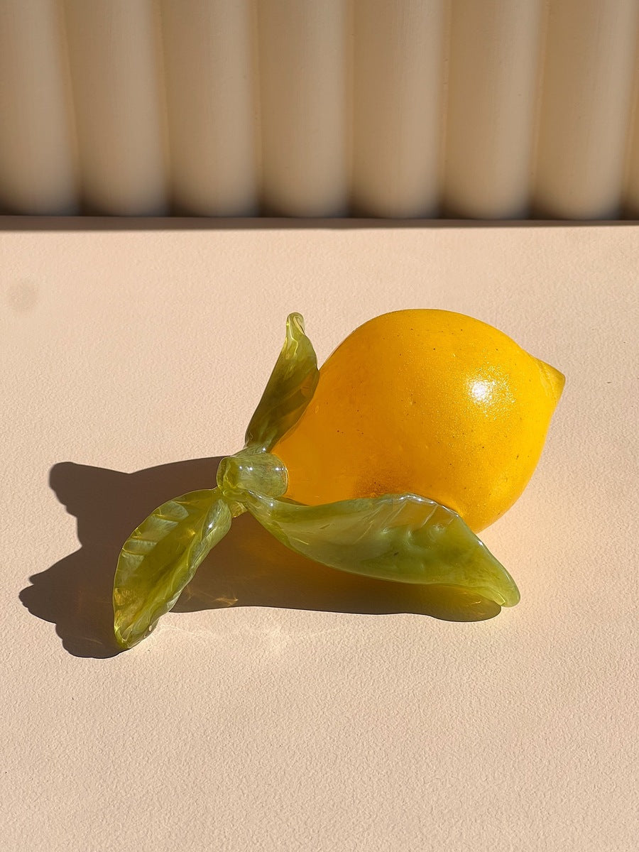 CONVERSATIONS IN LEMON - C