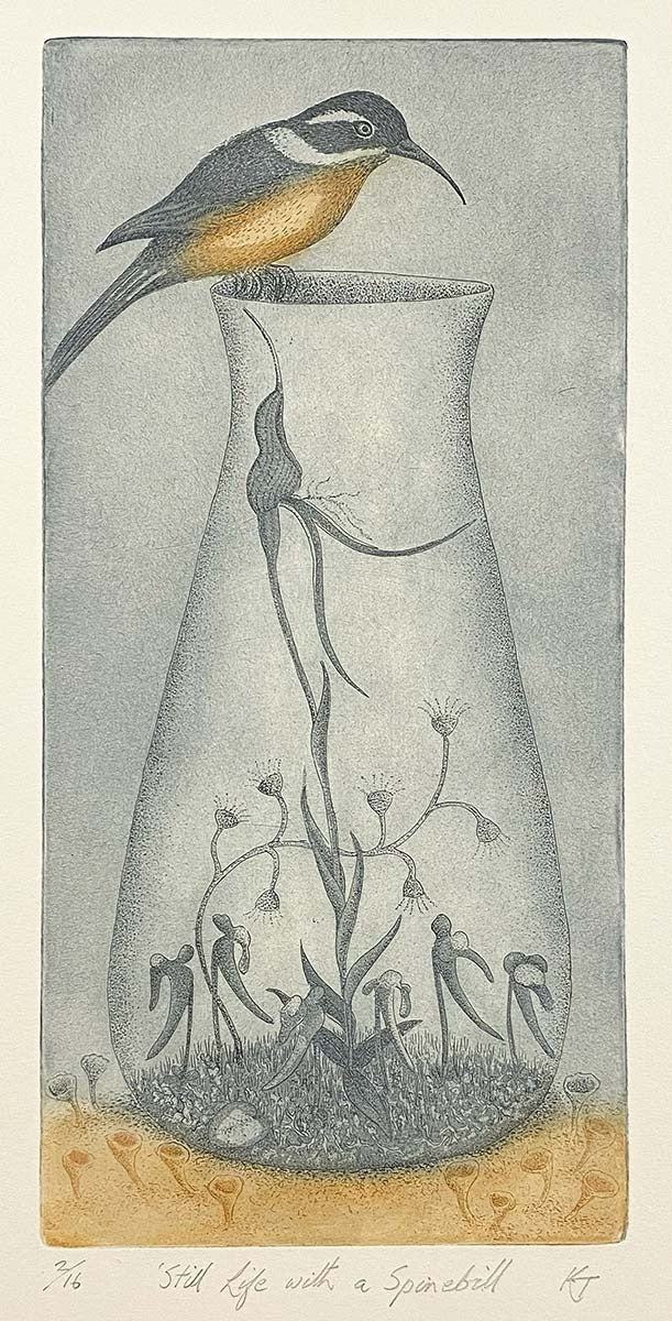 Still Life with a Spinebill