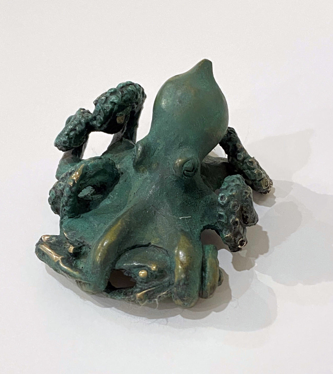 Octopus with Crab "Never Give Up"