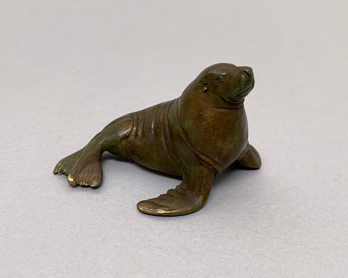 Sealion Bull