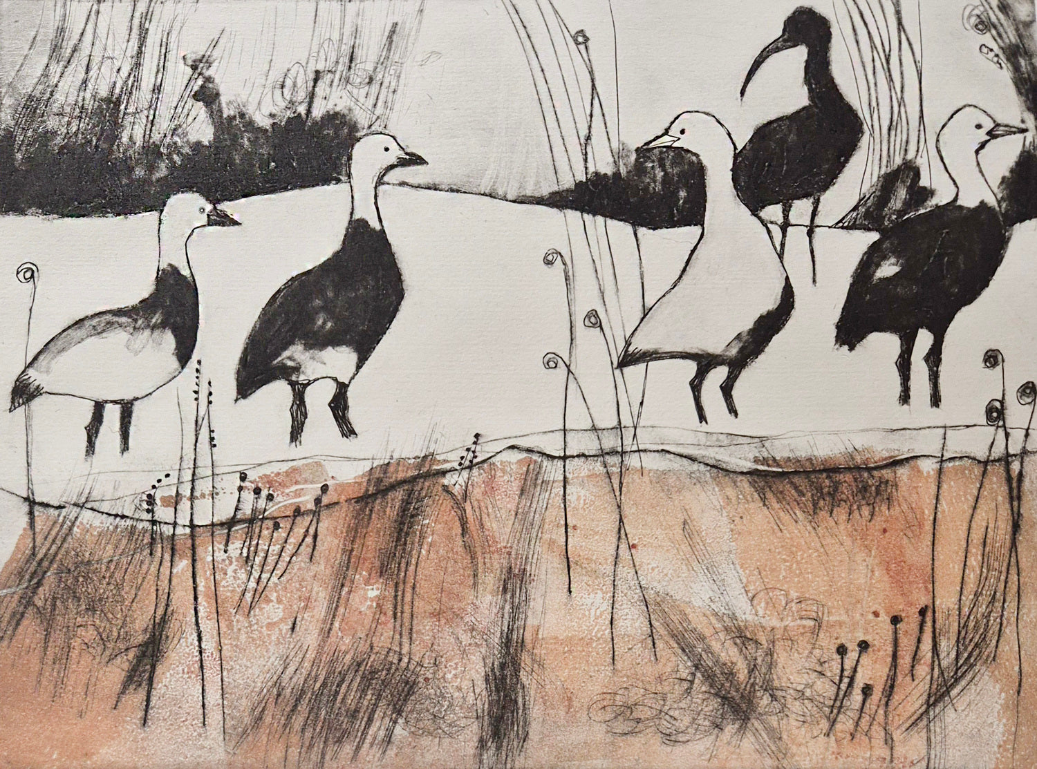 Swamp - Limestone Country