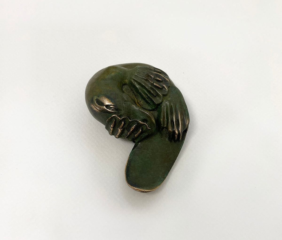 Platypus Sleeping