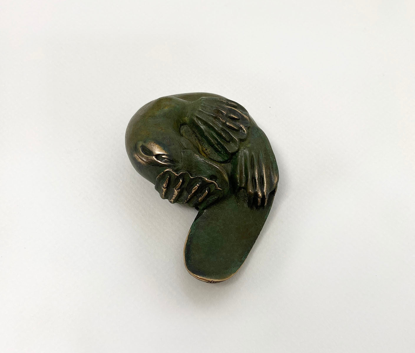 Platypus Sleeping