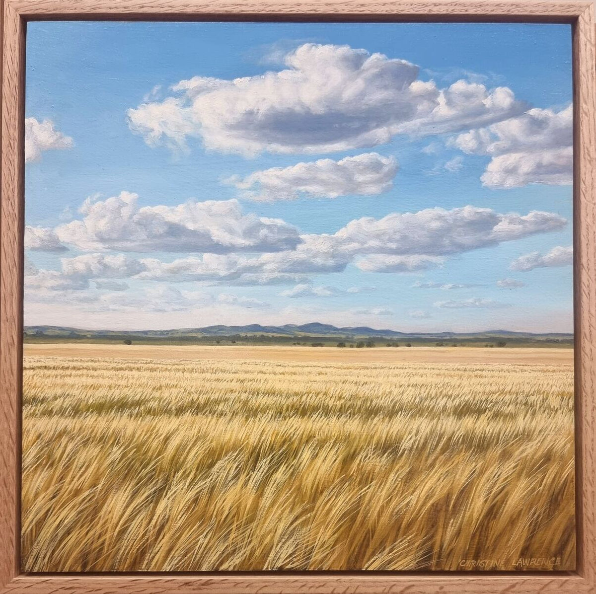 Crops and Clouds #3 Soft Clouds Over the Barley