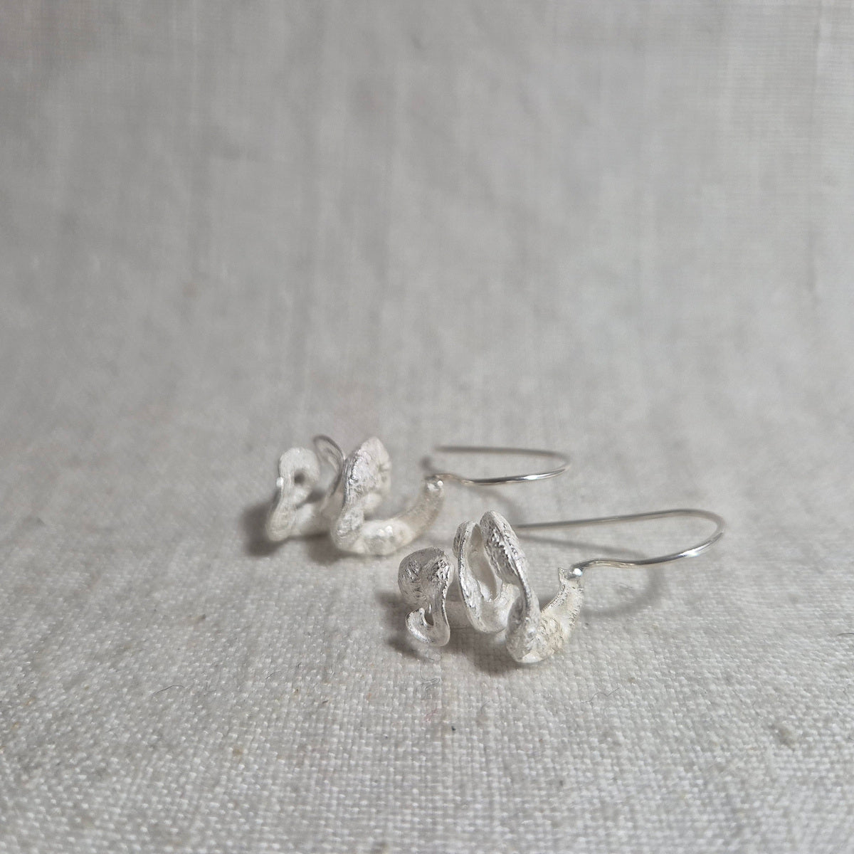 Botanical earrings - acacia seed pod