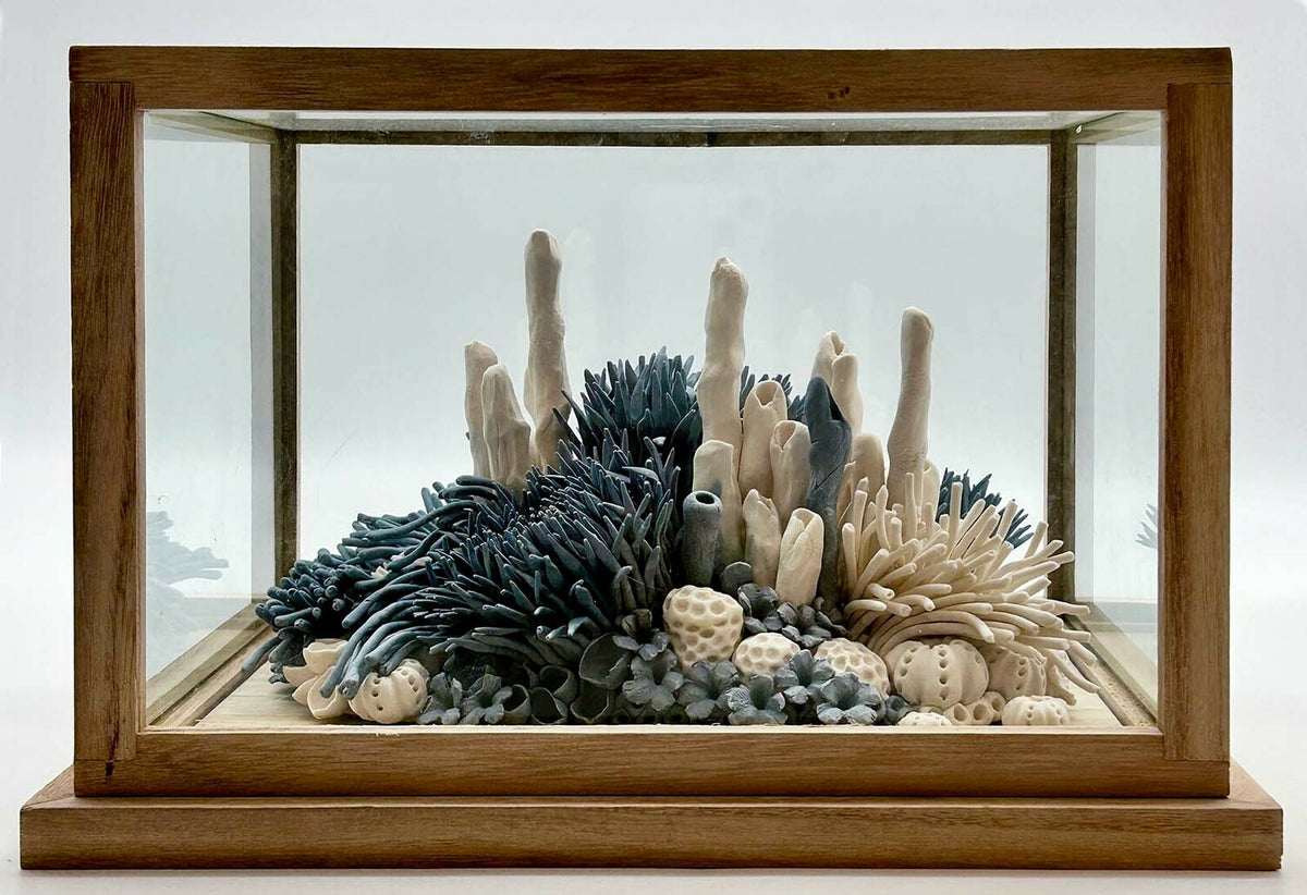 Winter in the Rockpools