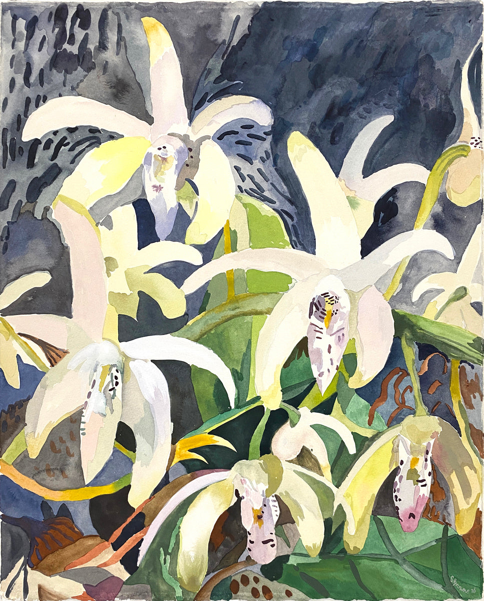 Night Garden with Native Orchids