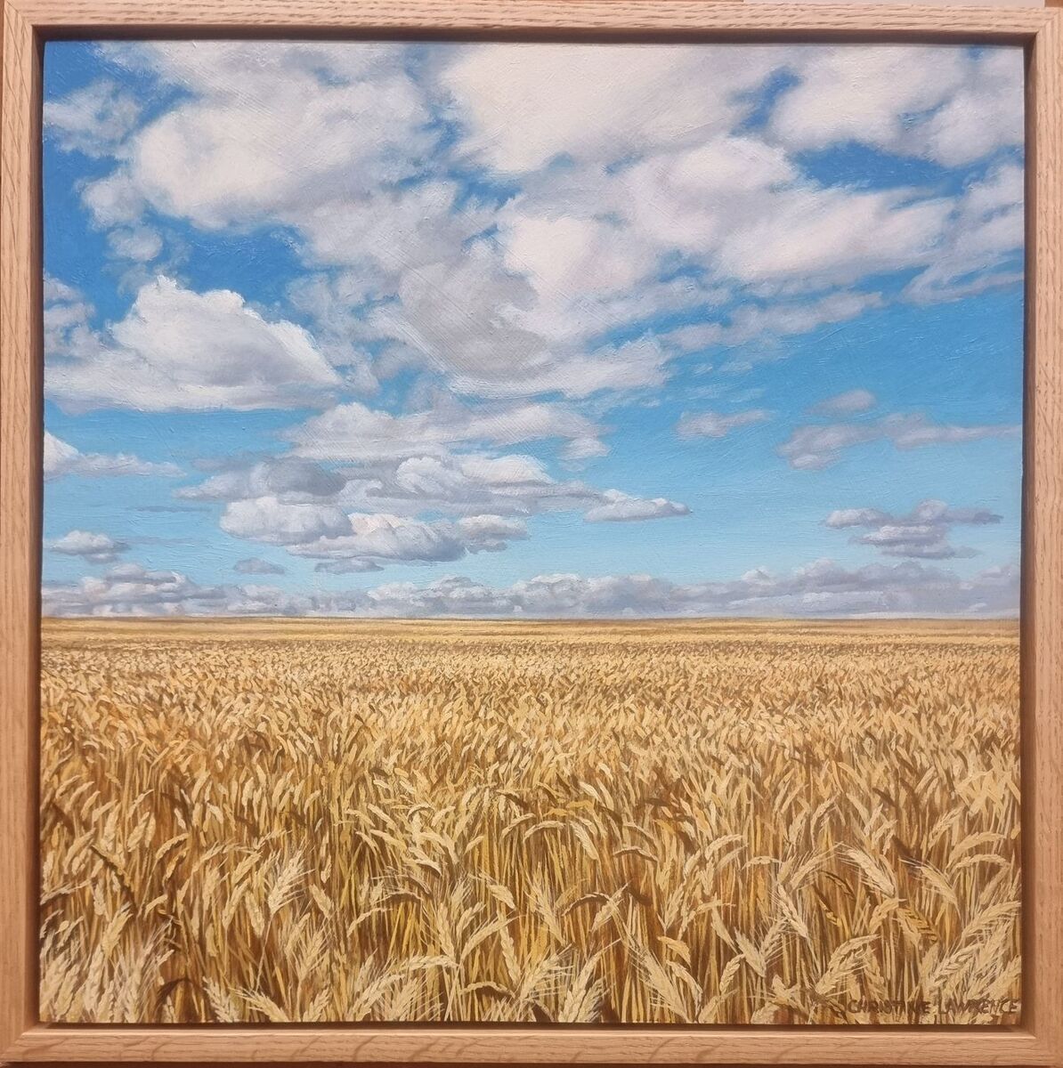 Crops and Clouds #11 Ready for Harest