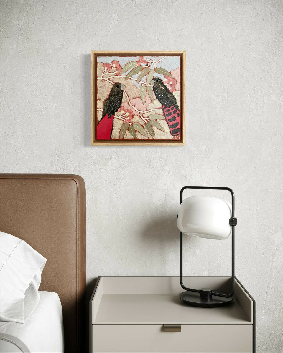 Red-Tail Cockatoos in Eucalyptus