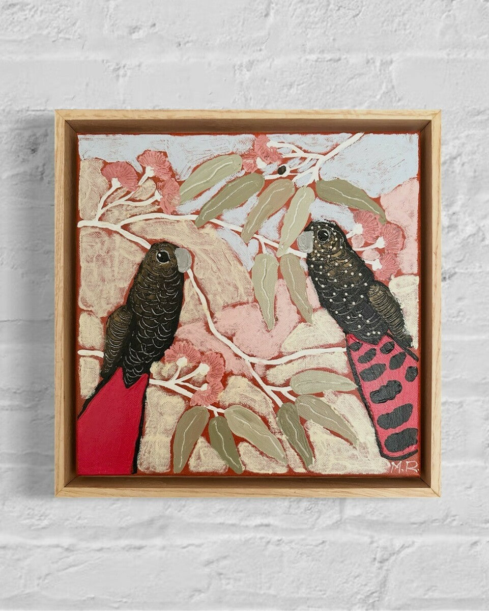 Red-Tail Cockatoos in Eucalyptus