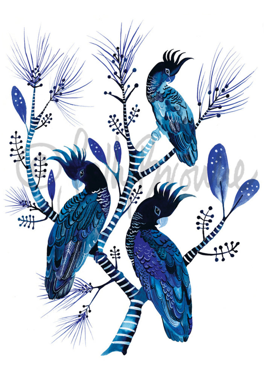 Indigo Cockatoos &amp; Banksia Flowers