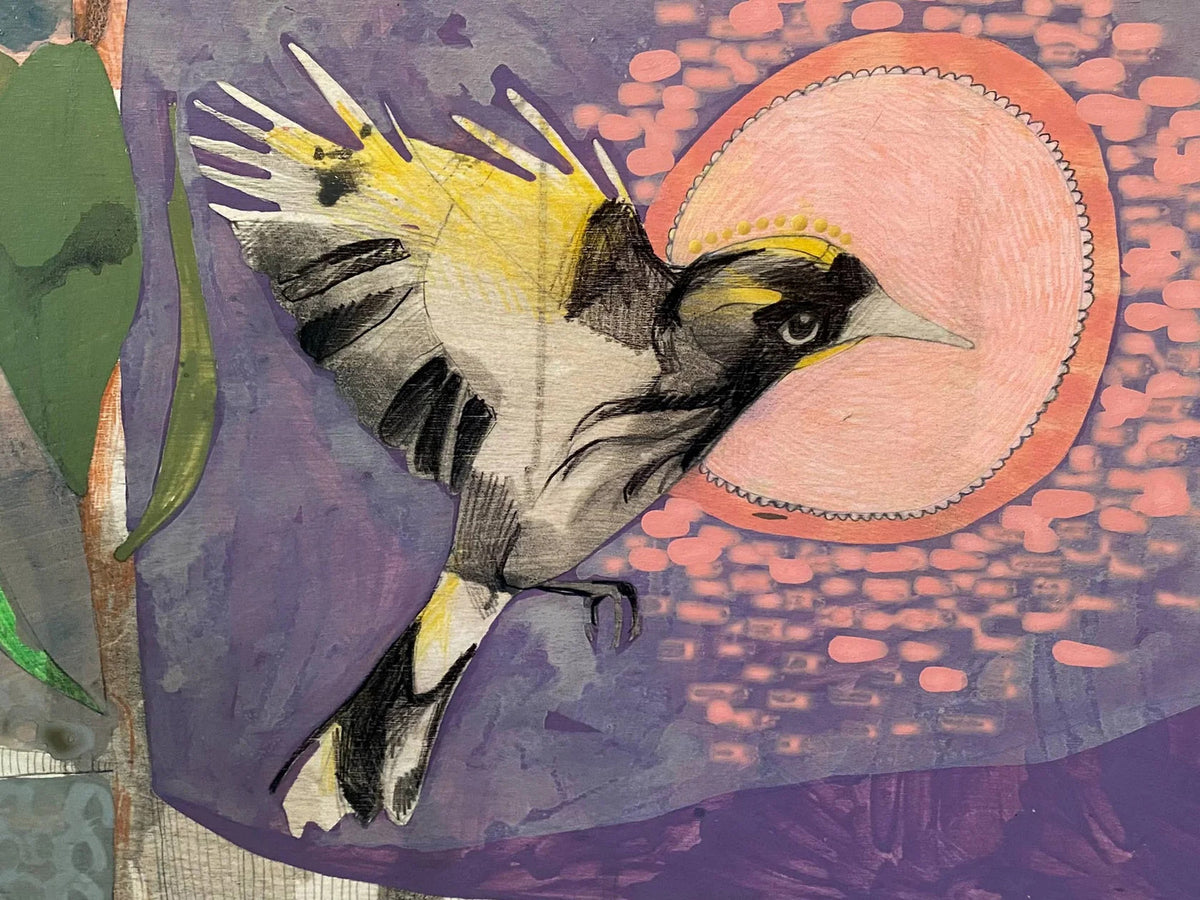 The Fluttering of Birds, New Holland Honeyeater and Pincushion