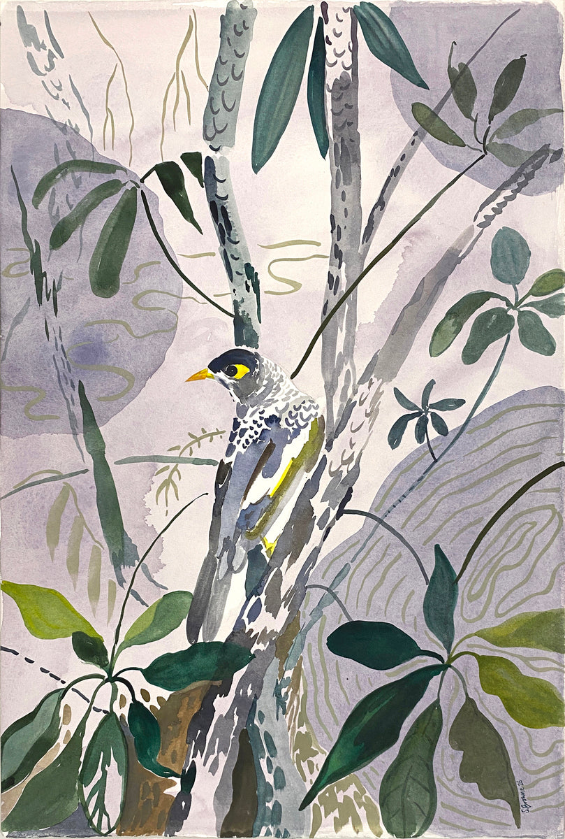 Water Garden with Noisy Miner