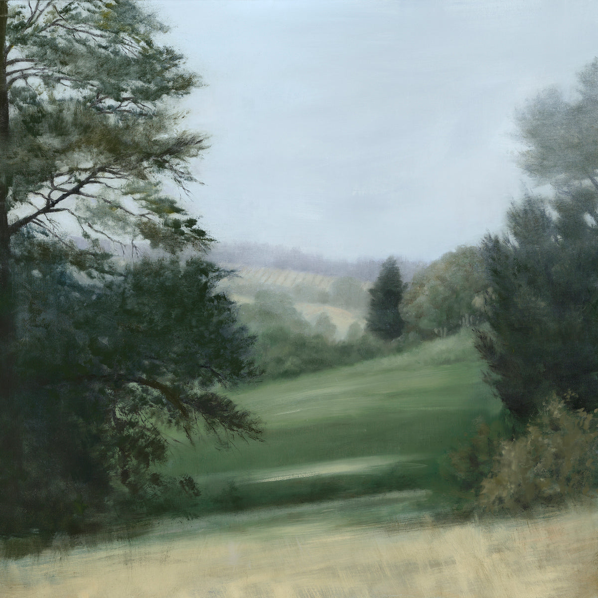 Through the Pines