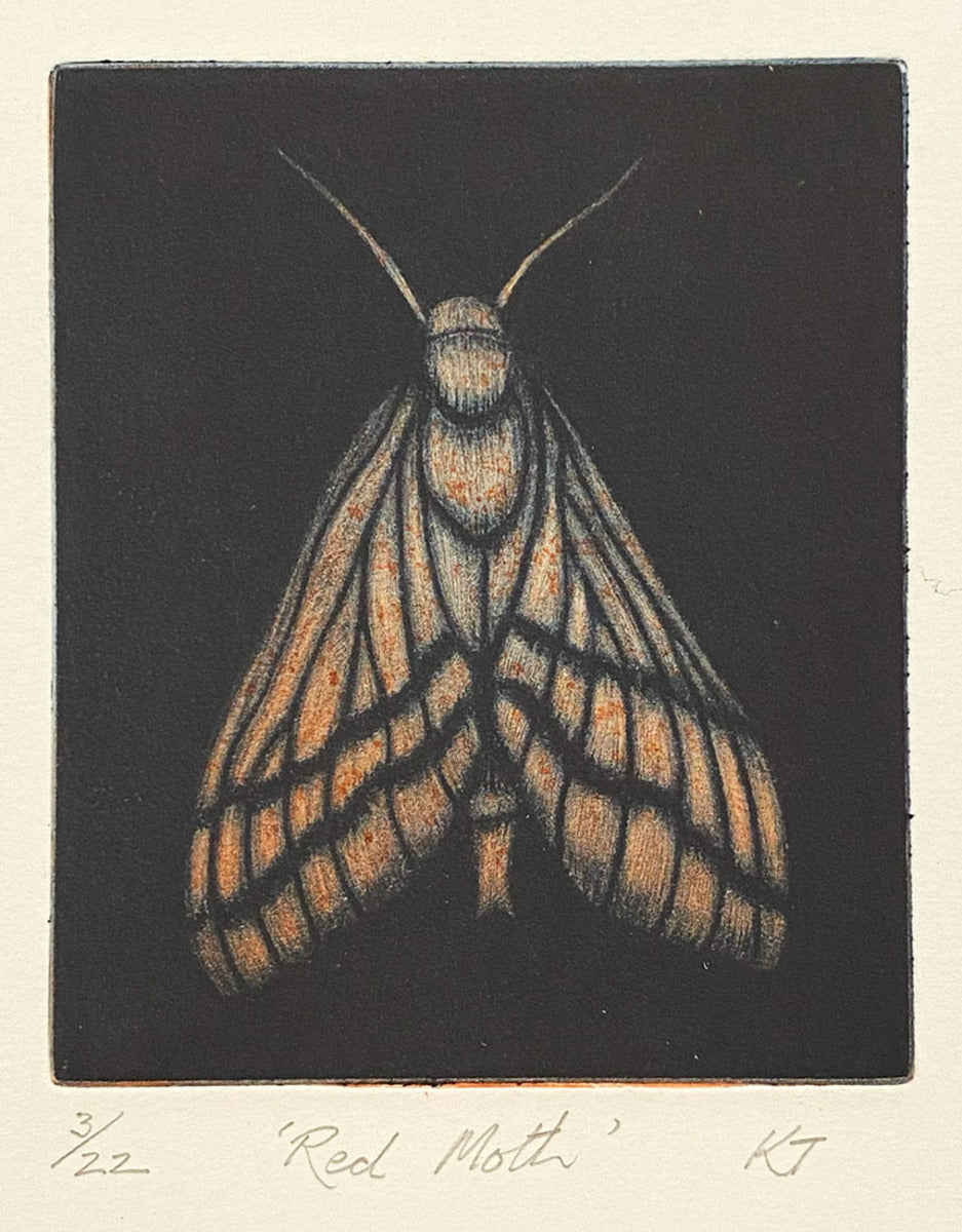 Red Moth