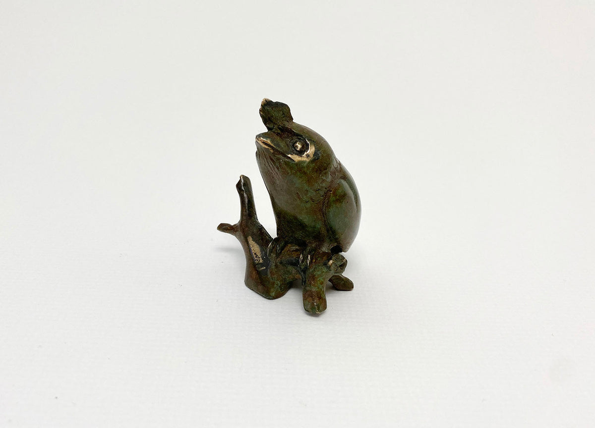 Frogmouth with Mouse