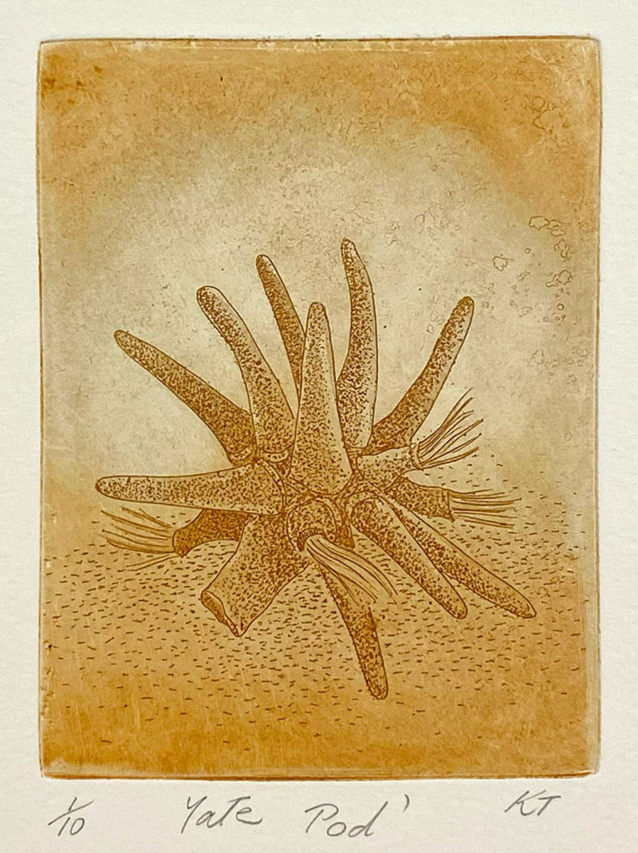 Yate Pod (unframed)