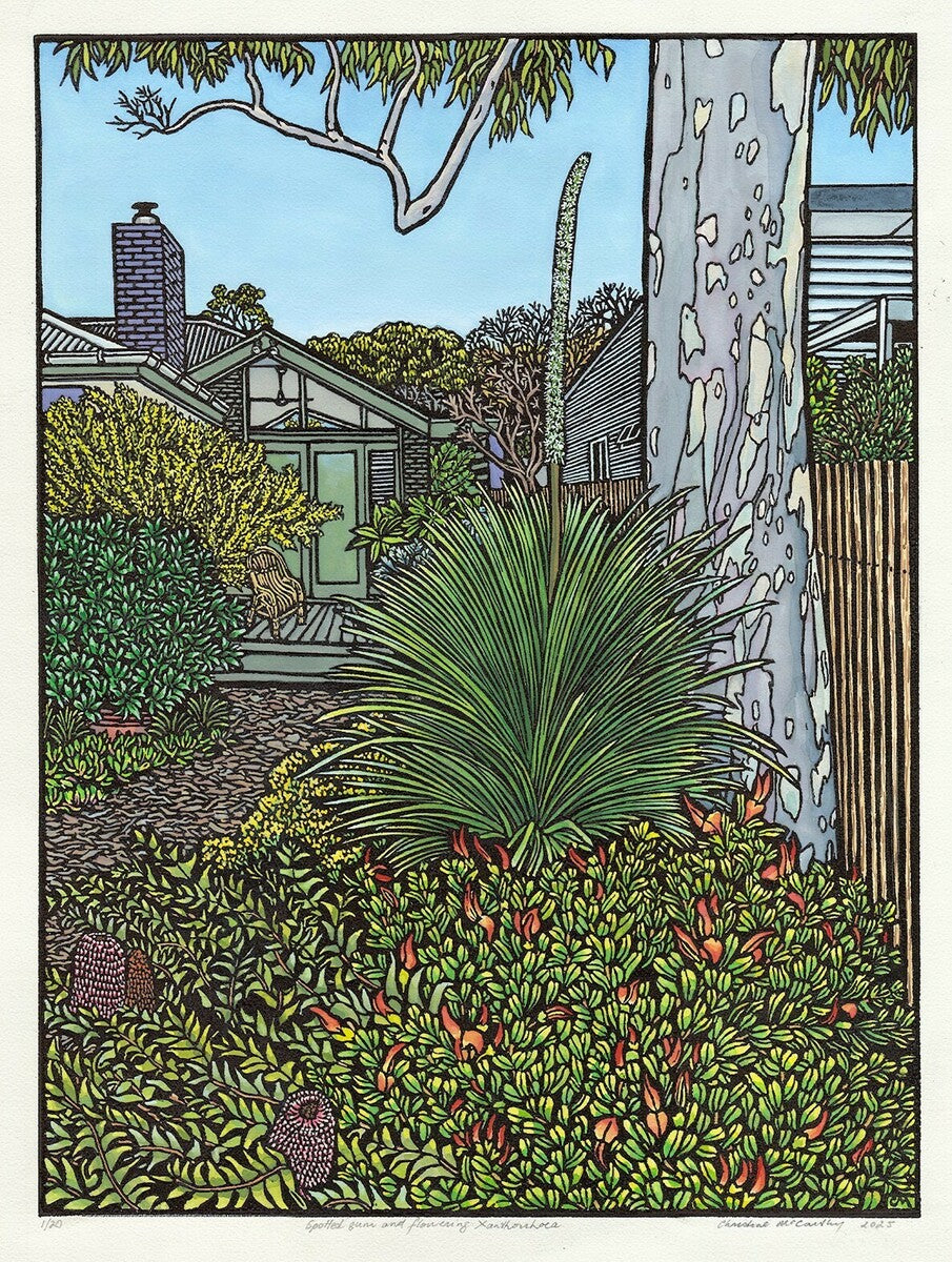 Spotted Gum and Flowering Xanthorrhoea