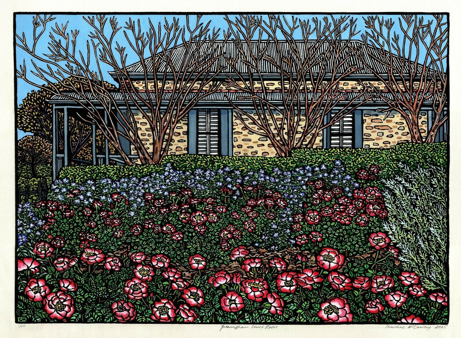 Jerningham Street Roses