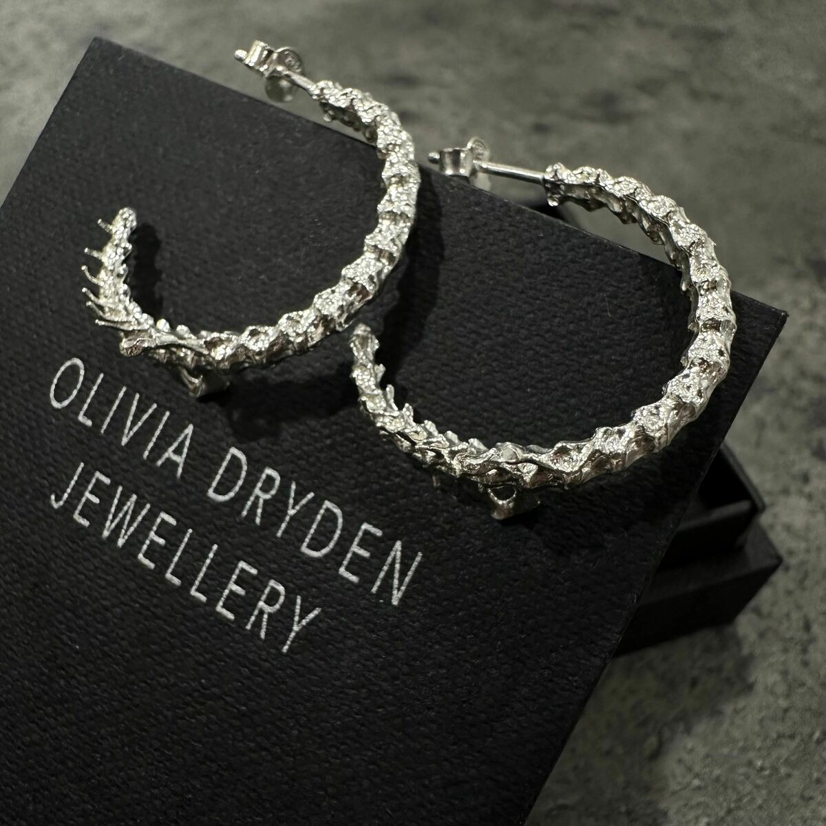 Rat Spine Hoop Earrings