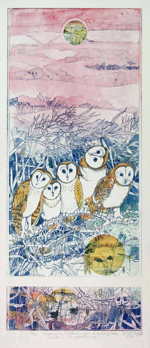 Meeting the Owl family again at Bullocky Creek, York Farm, Kangaroo Island