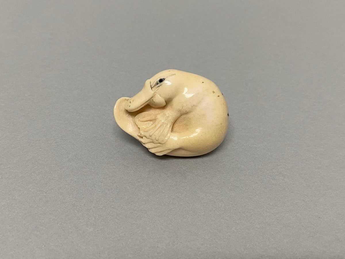 Platypus Brooch