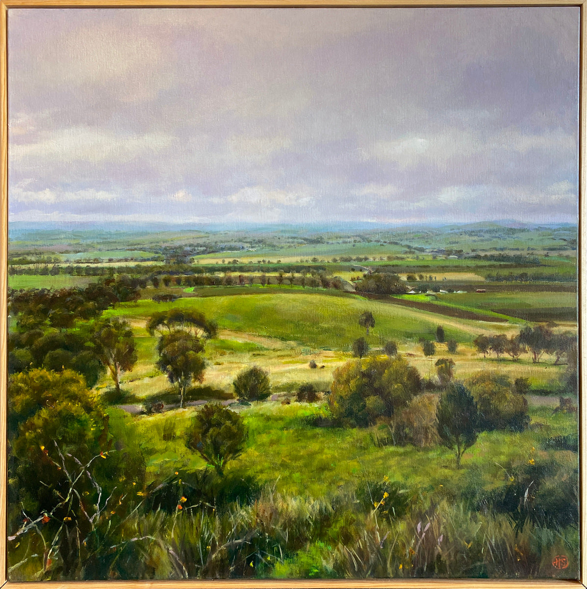 Winter Landscape, Clare Valley