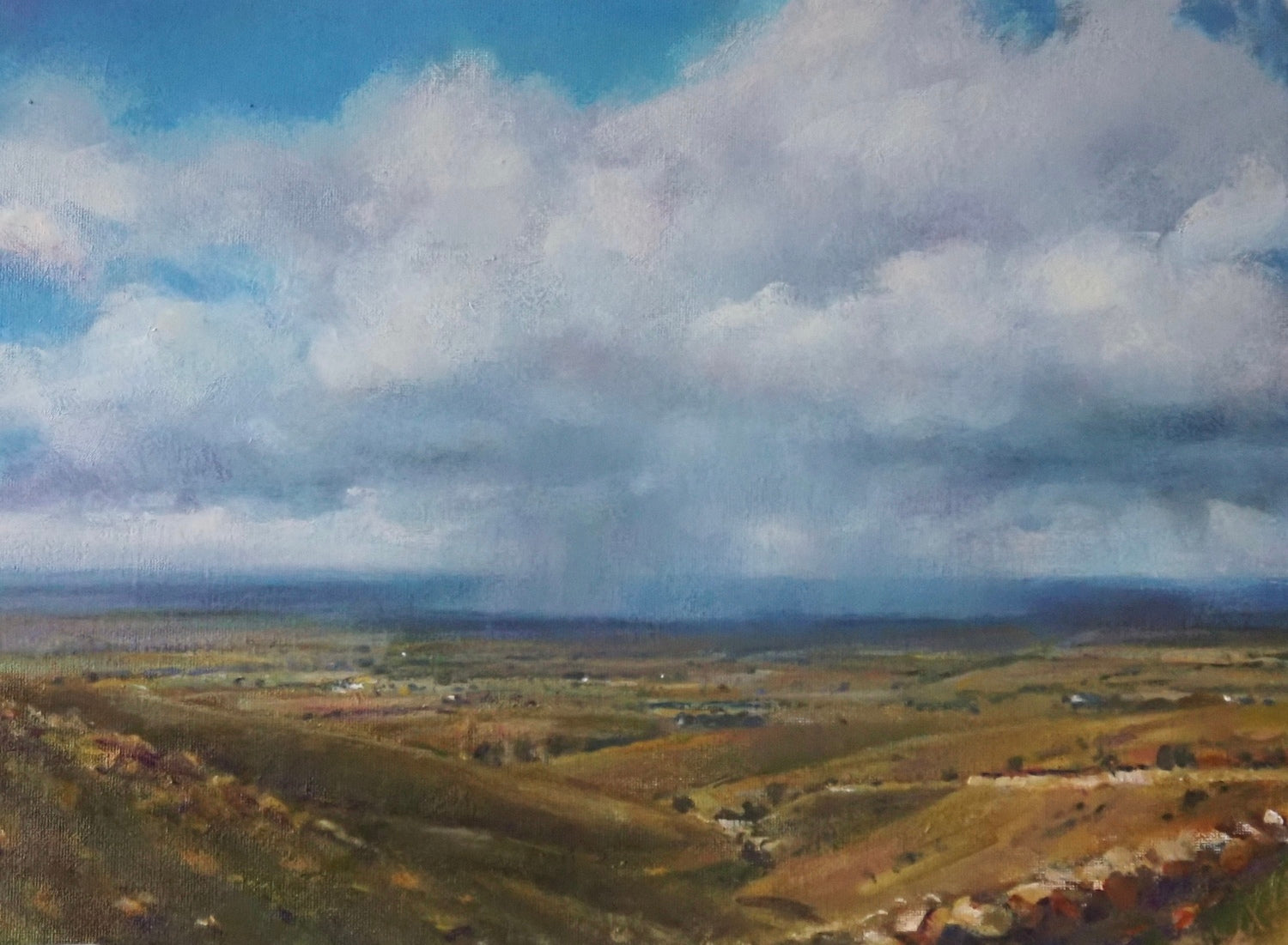 Raining On The Plain, Mallee Country
