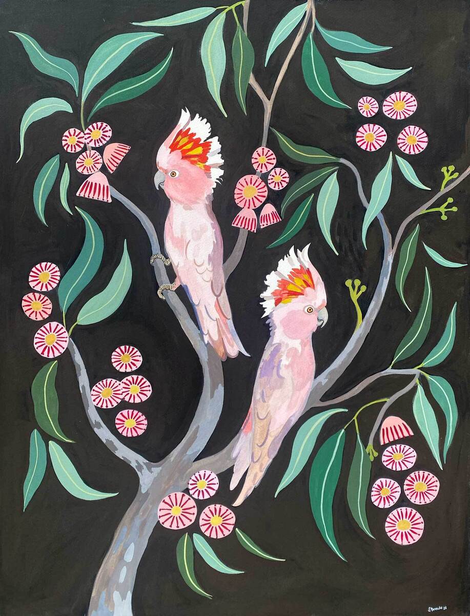 Major Mitchells Amongst the Gum Blossoms