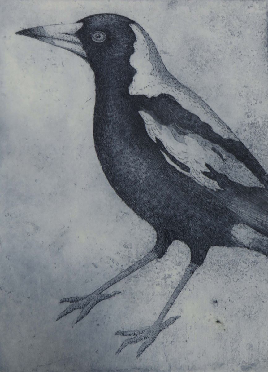 Magpie Blues 2 (unframed)