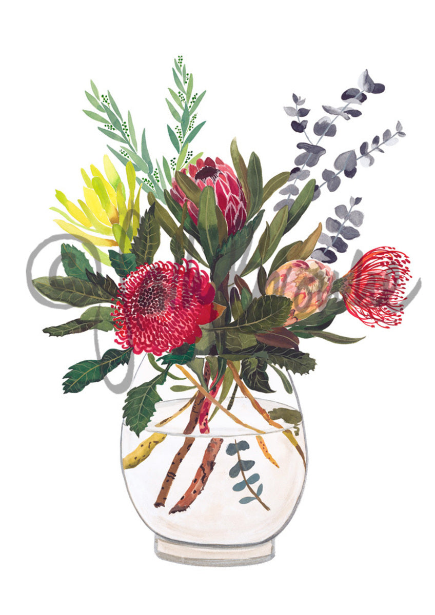 Waratah, Protea and Dollar Gum