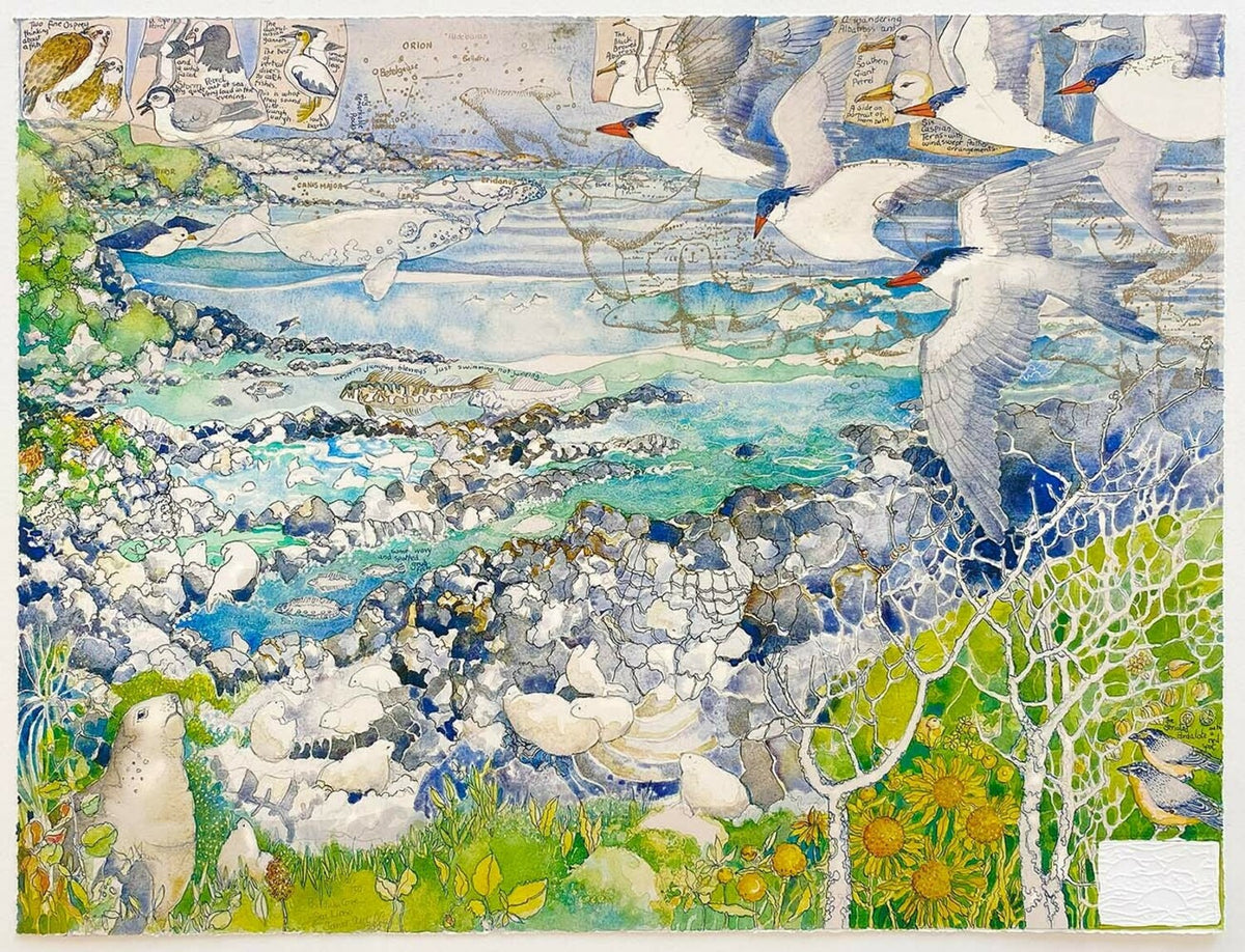 Penguin Cove, Sea Lions