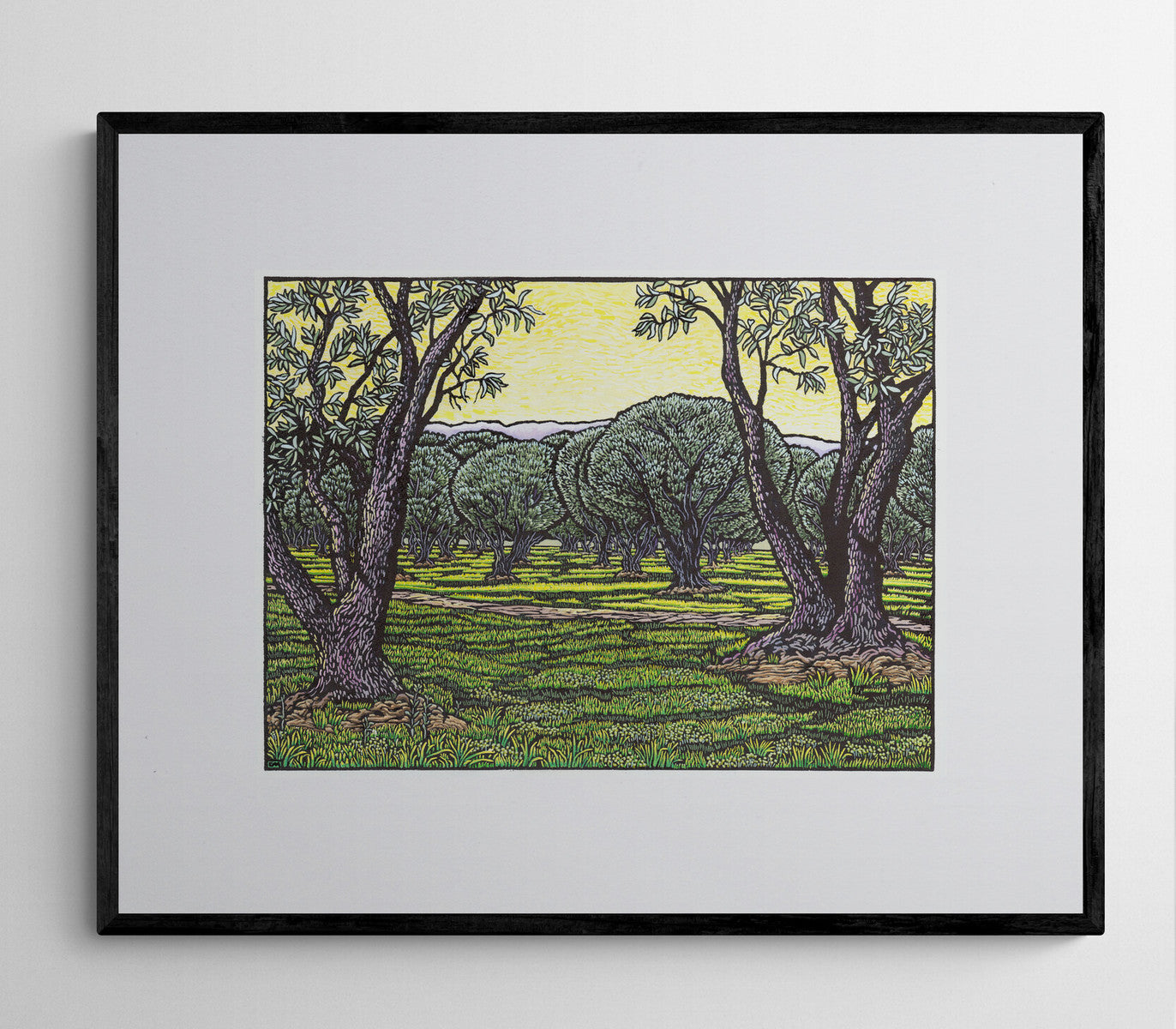 Olive Grove
