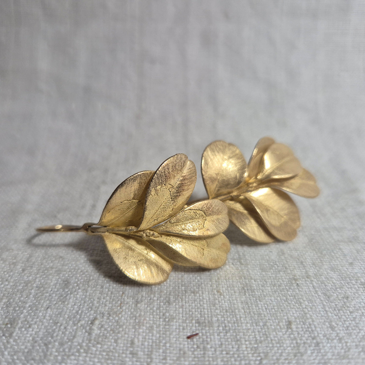 Botanical earrings - Japanese Box Bush, gold plated