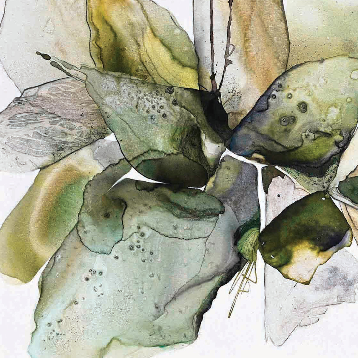 Unfurling