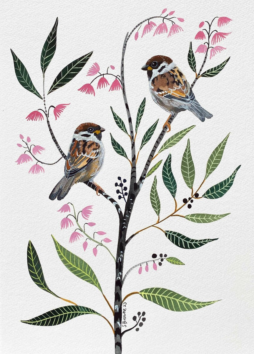 Tree Sparrows and Blueberry Ash