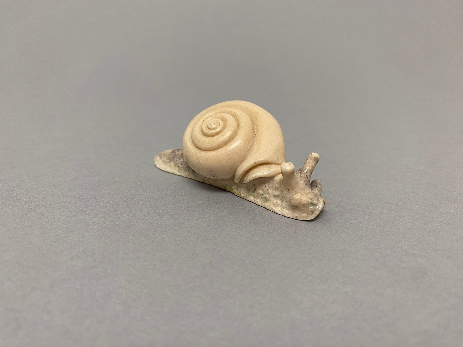 Spiral Snail