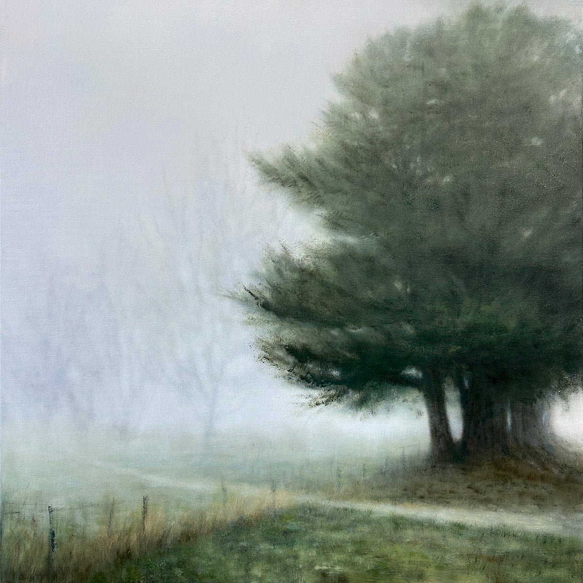 Fruit Trees from the Kitchen Window