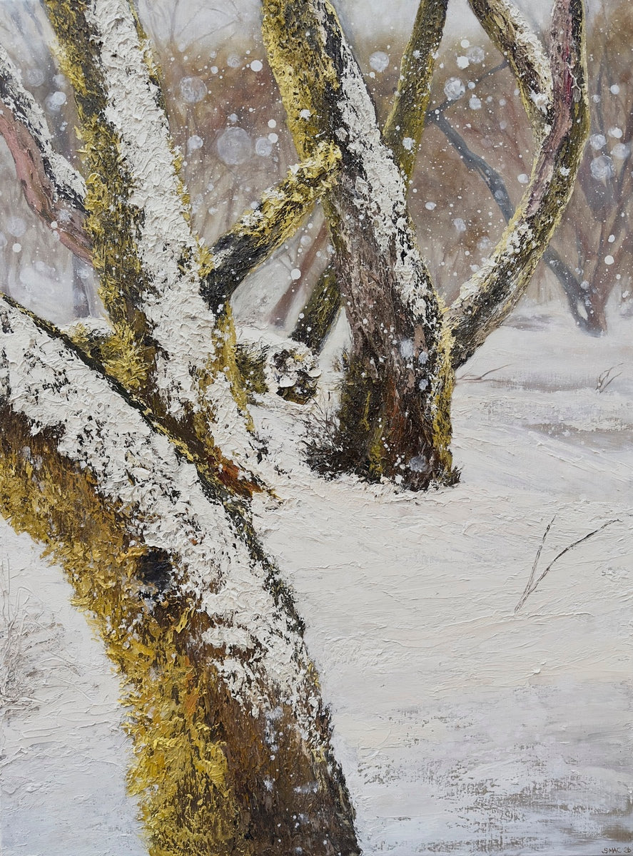 Snow Dance