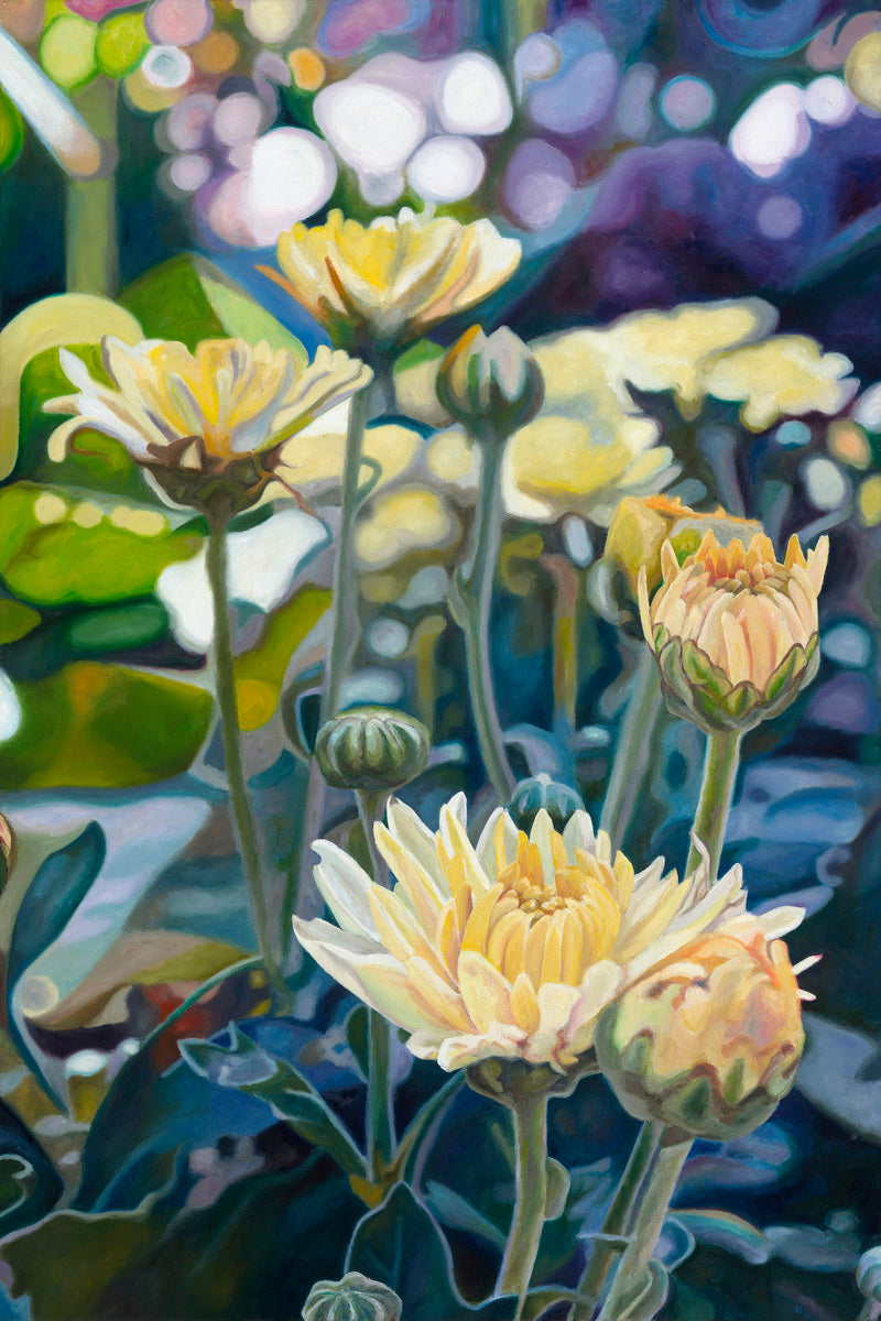 Yellow Chrysanthemums