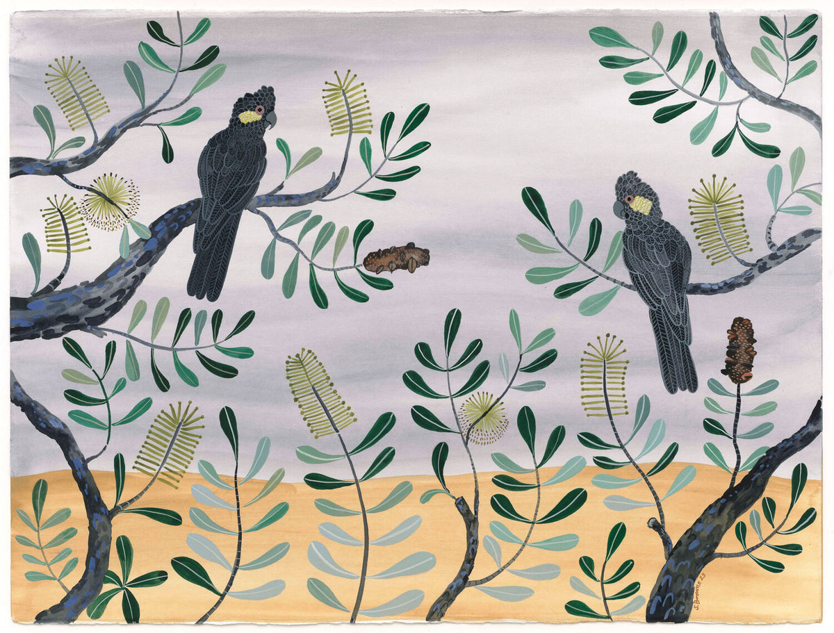 Black Cockatoos &amp; Coastal Banksia
