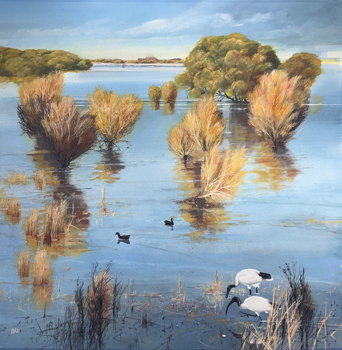 South East Wetlands