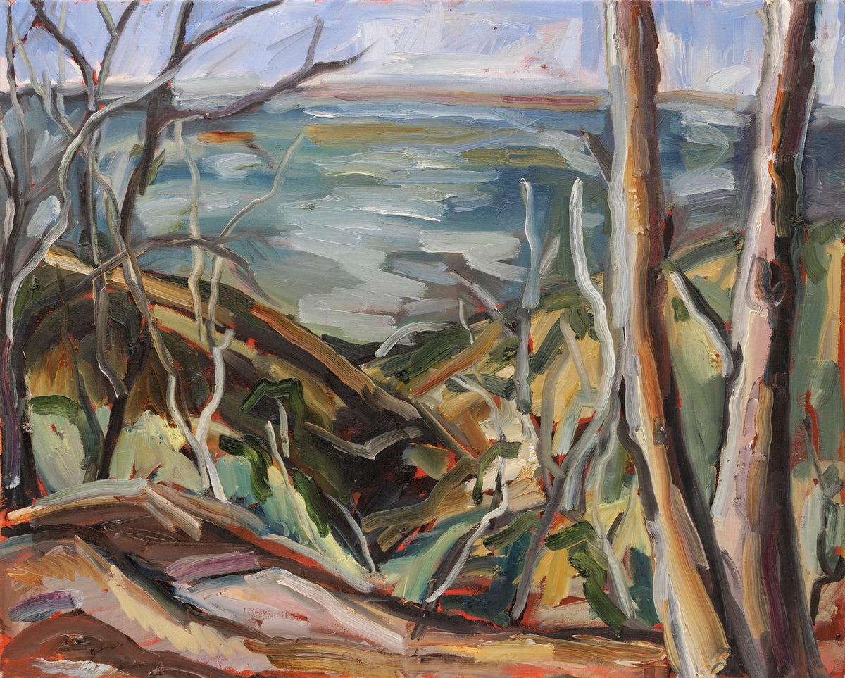 Measday's Lookout