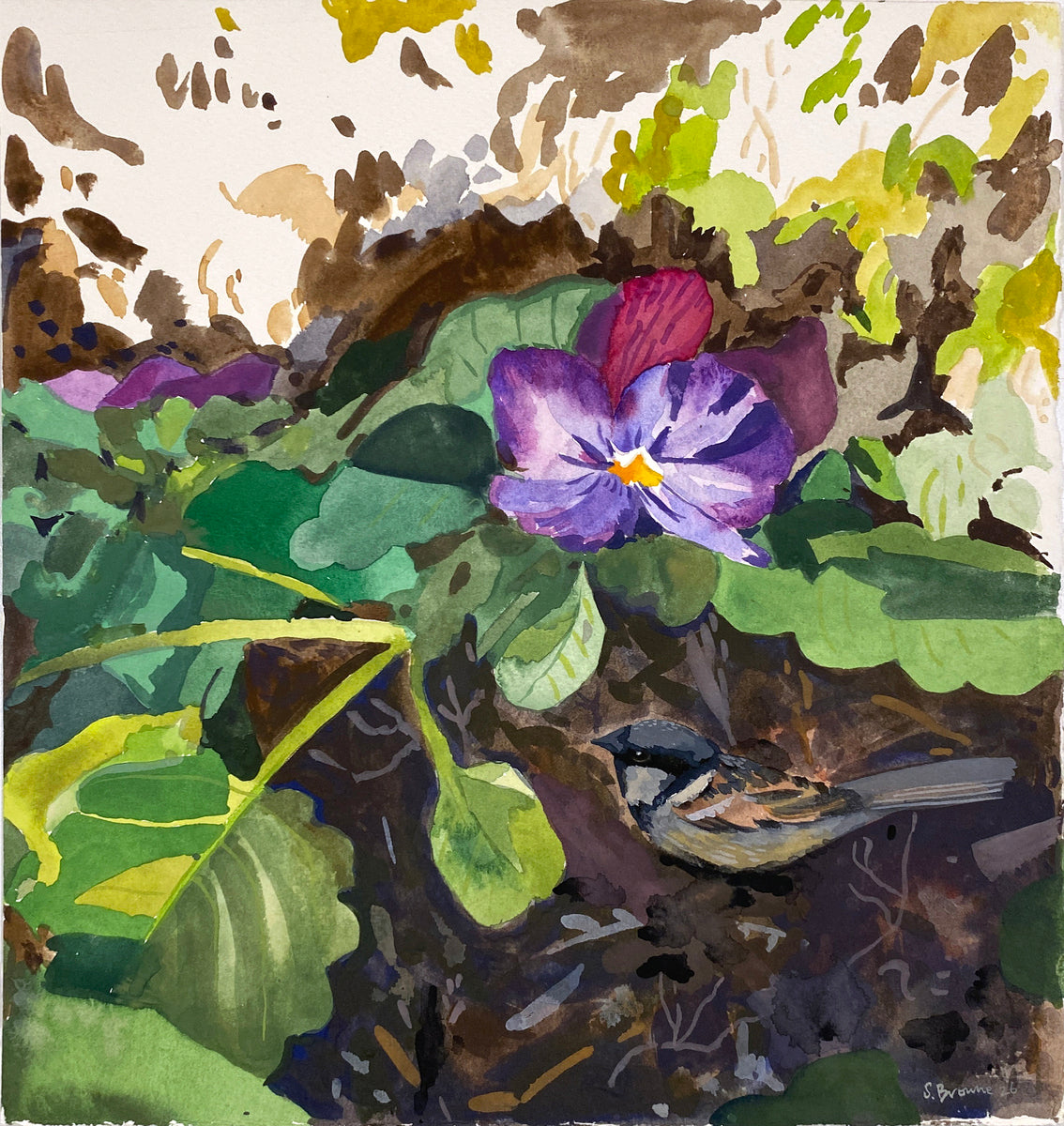 Under the Pansies