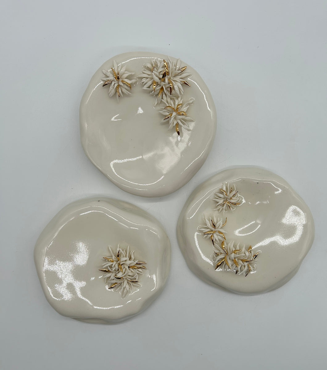 Sea Treasure